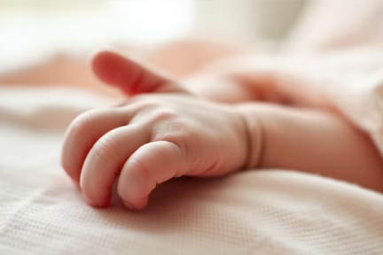 इंदौर के सरकारी अस्पताल में चूहों के हमले के बाद एक नवजात लड़की की मौत